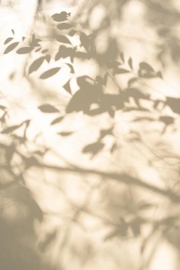 Spring Allergies and Your Skin: Supporting Barrier Health Through Seasonal Shifts